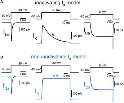 Simulation test for impartment of use-dependent plasticity by inactivation of axonal potassium channels on hippocampal mossy fibers